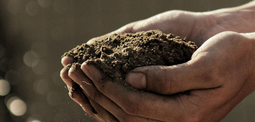 G8全自動(dòng)石墨消解儀對(duì)土壤中Cd、Cr、Cu、Pb、Ni、Zn金屬消解方案