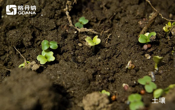 陶瓷加熱板四酸消解農(nóng)田土壤詳細步驟