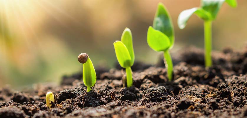 新型電熱板消解土壤研究過(guò)程